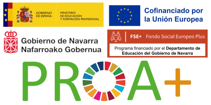 Enlace al SITE PROA+